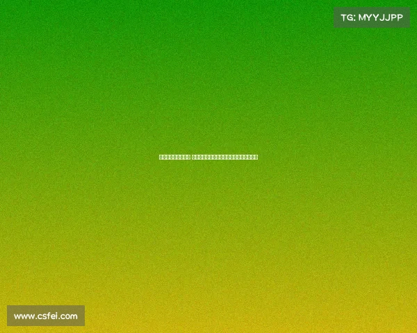 网球赛场背后的故事 揭秘顶级选手训练与赛事筹备的艰辛与荣耀